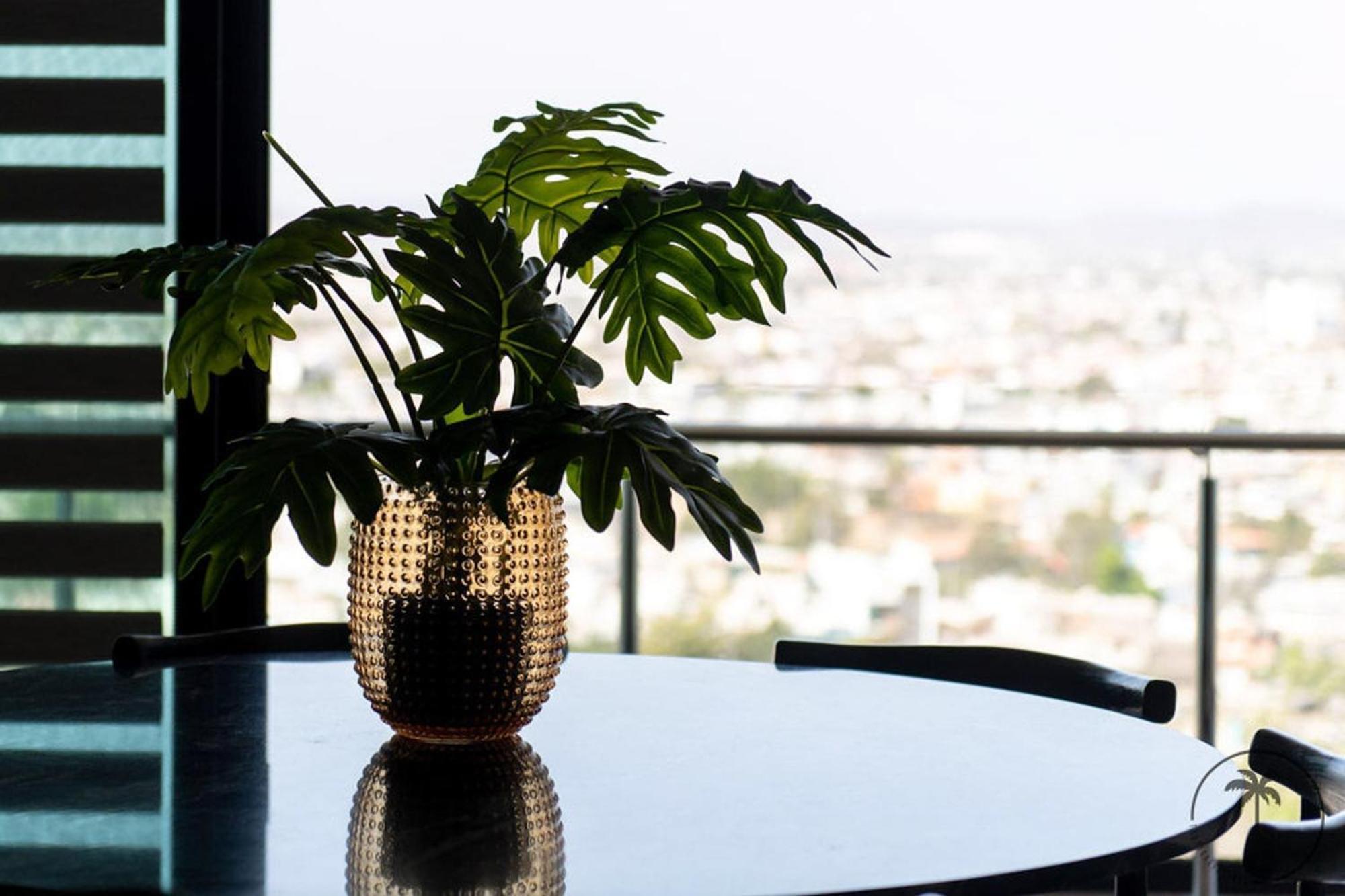马萨特兰Nuevo Departamento En El Malecon!公寓 外观 照片